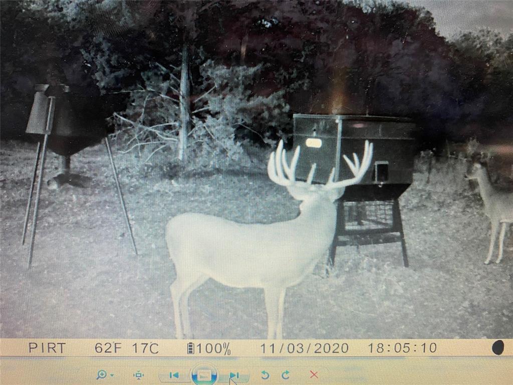 7441 Farm to Market 1956 Road