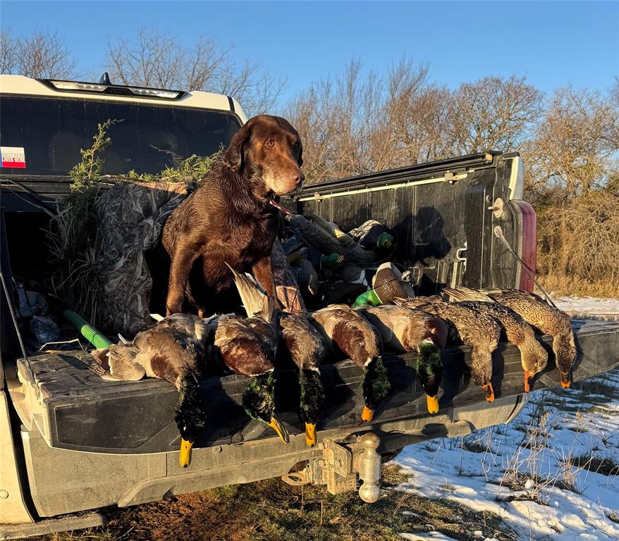 George Brown survey et al - Farm