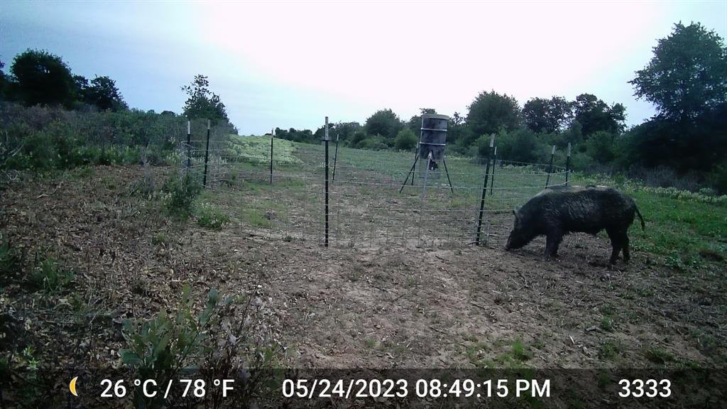 11653 FM 1226 Parcel C