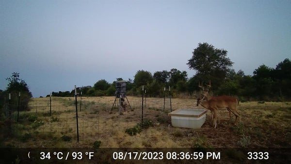 11653 FM 1226 S # PARCEL, HAWLEY, TX 79525 - Image 576f1bbc03f751d7ca5d221a19837a2d/4167910024