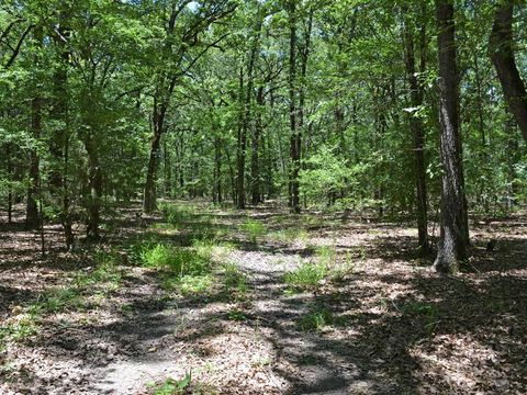 Photo of TBD County Road 14590, Pattonville, TX 75468 (MLS # 21225769)