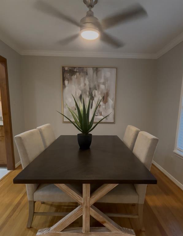 Hampton Plaza - Residential