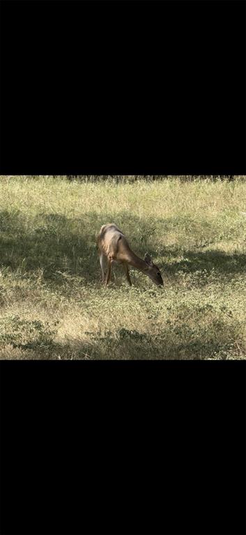 Ranch 41 County Road 208