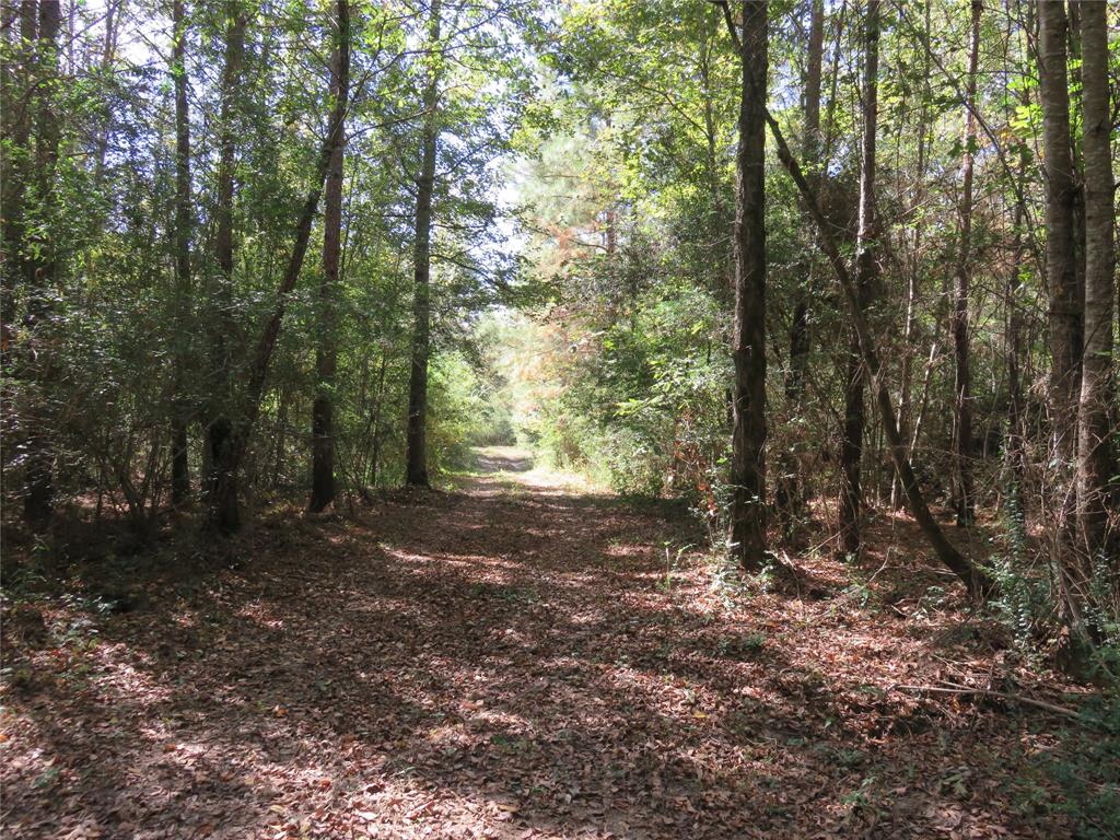 21471 N Fm 95