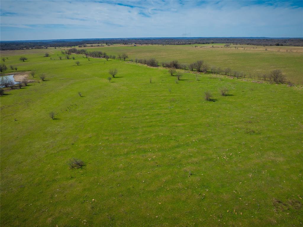 R F Millard Surv Abs #469 - Farm