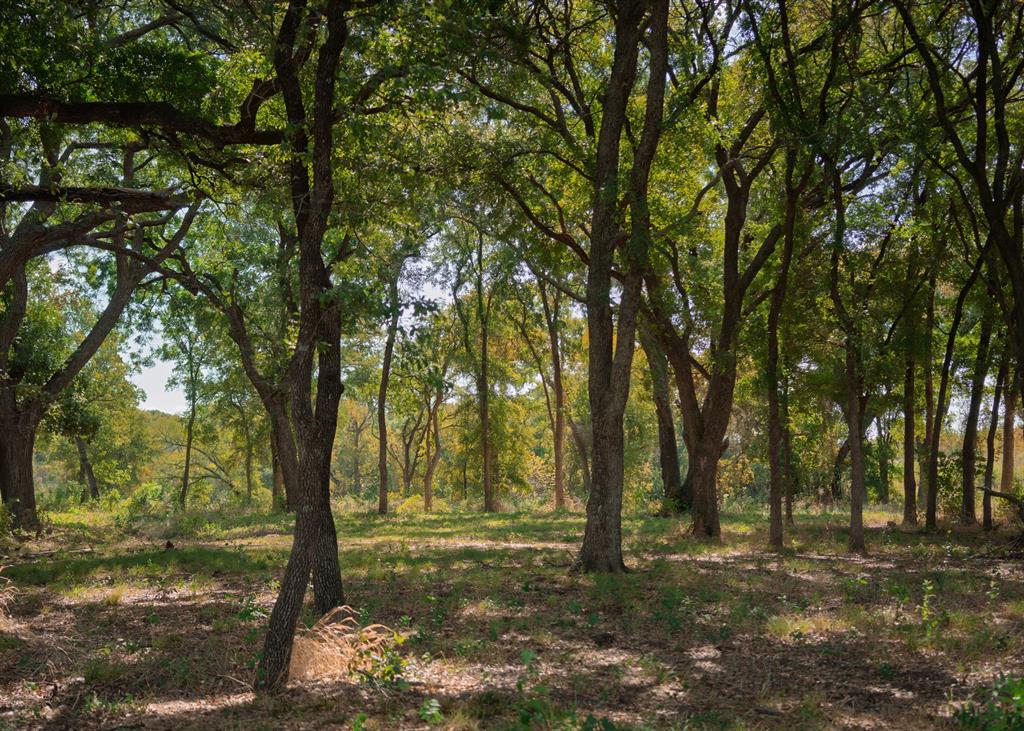 La Dorada - Residential