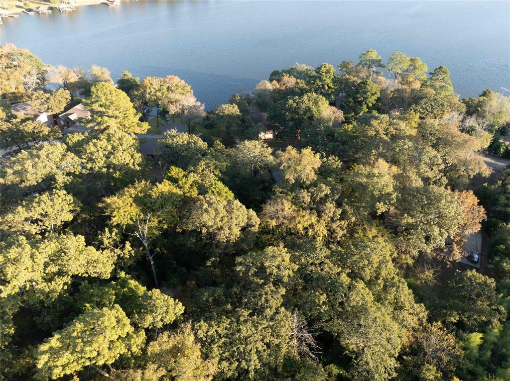 Callender Lake V - Land