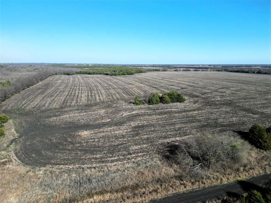 Discover 99 acres of prime ag-exempt land in Commerce, Texas—an ideal opportunity for farming, ranching, or future development. This expansive tract offers approximately 1,950 feet of county-maintained dirt road frontage, providing excellent access and flexibility for multiple entry points. Currently utilized as productive farm ground, the property is framed by a beautiful line of mature trees surrounding the perimeter, offering privacy and a natural windbreak while keeping the interior wide open for agricultural use. No floodplain impacts the land, maximizing usability and long-term planning potential. Located within Commerce ISD, this acreage delivers the perfect balance of rural quiet and great proximity to the conveniences of town. Whether you're looking to expand your agricultural operation, build your dream homestead, or invest in land with strong potential, this property is ready to fit your vision.