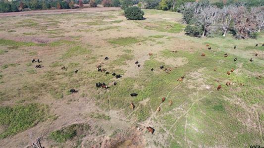 Ball, Whitehead - Land