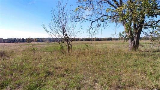 Ball, Whitehead - Land