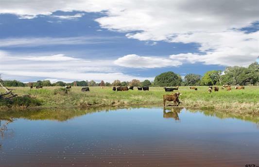 Ball, Whitehead - Land