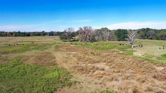 Ball, Whitehead - Land