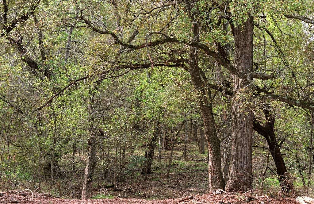 Tract 7, TBD County Road 3204