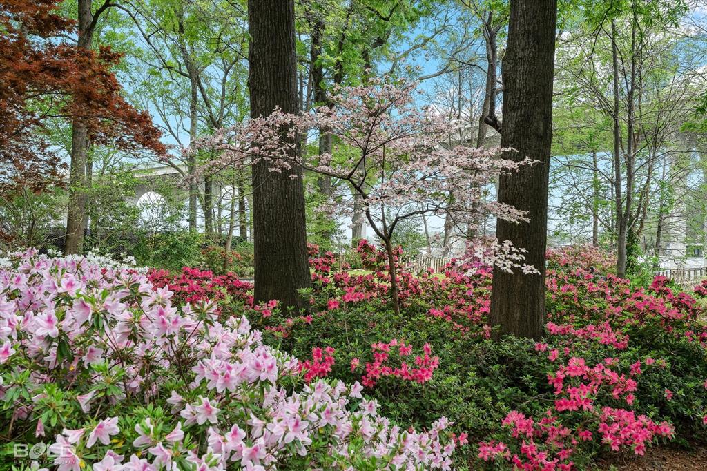 Shreveport, Louisiana 71119, United States, 5 Bedrooms Bedrooms, ,4 BathroomsBathrooms,Residential,Active,94318