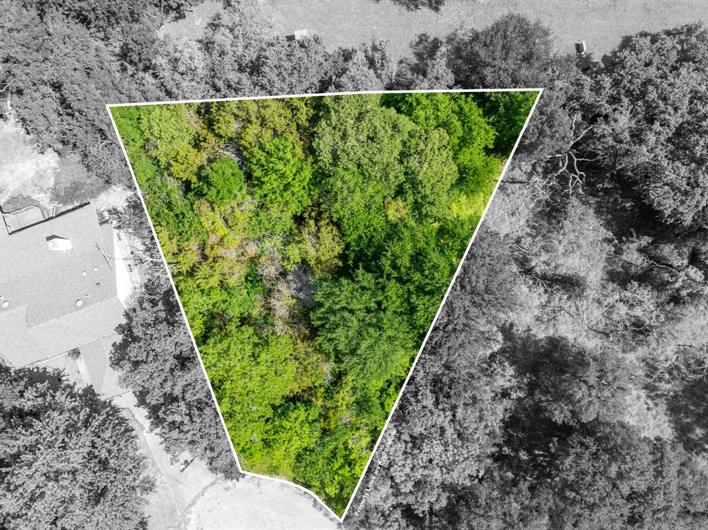 White Bluff #21 - Land