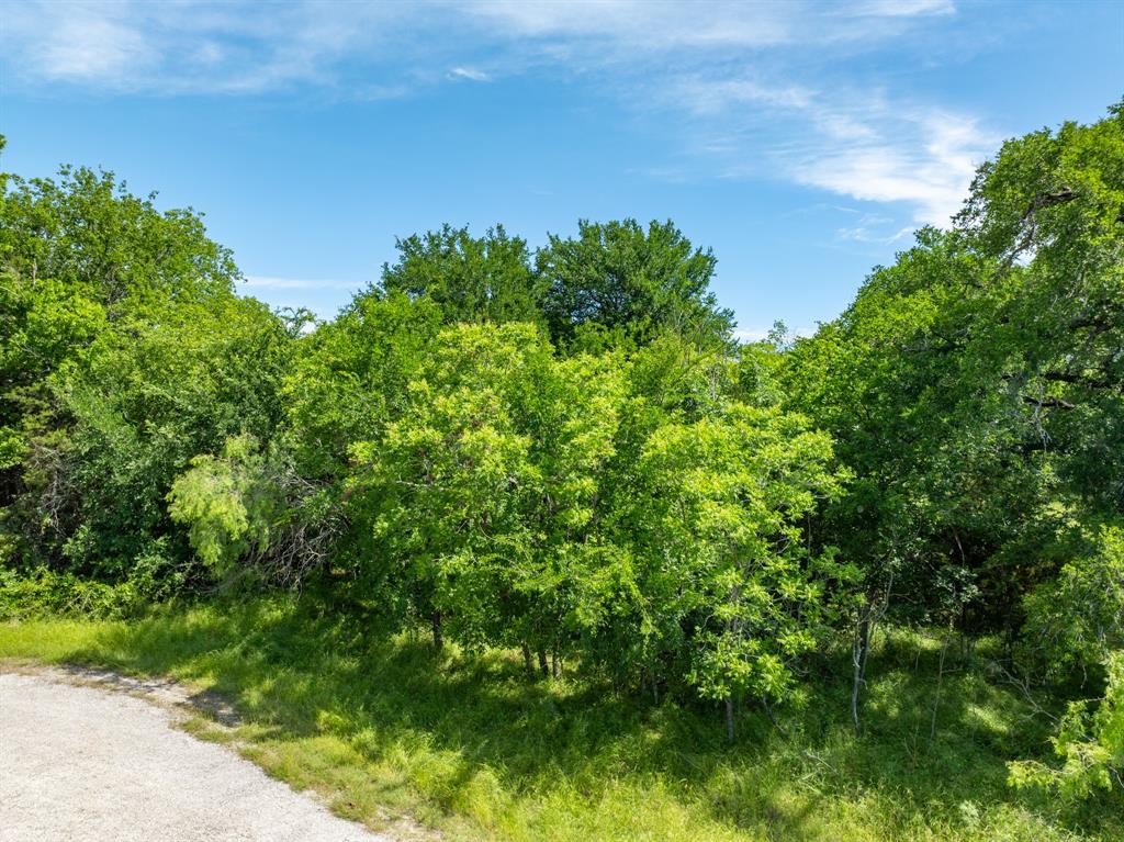 White Bluff #21 - Land