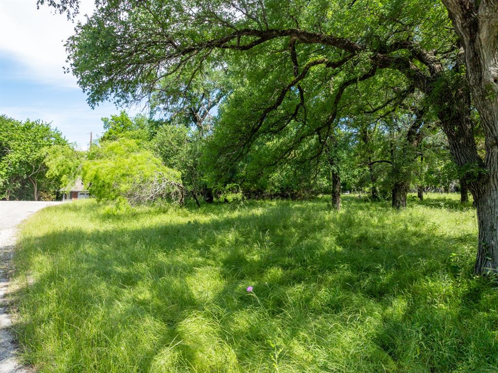 White Bluff #21 - Land