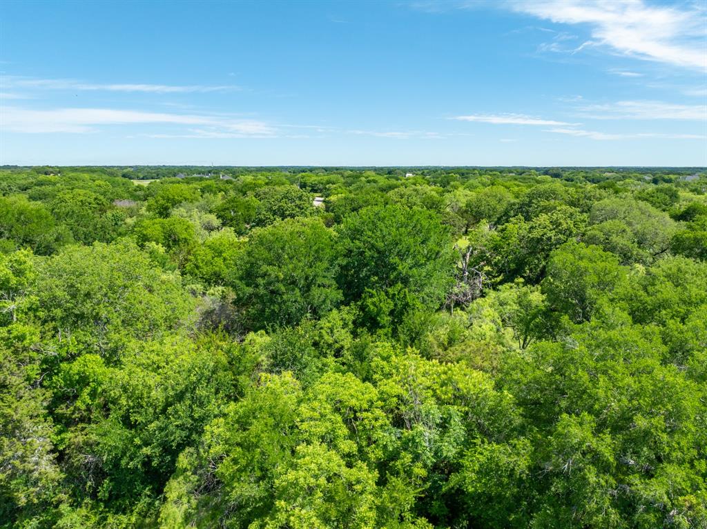 White Bluff #21 - Land