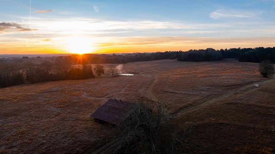 Legacy ranch property spanning 546 acres in Bullard Smith County Texas available for the first time since 1890. This five generation family ranch represents a rare acquisition opportunity in the heart of East Texas Piney Woods country. The land offers rolling topography from 350 to 450 feet elevation with panoramic views extending for miles. Nearly 2000 linear feet of FM 344 frontage sits just two miles from Bullard, TX. Features include approximately 100 acres of productive hayfield with development potential along with 220 acres of West Mud Creek bottomland creating a mosaic of beaver ponds duck sloughs and wetland habitat. Terrain transitions from scattered pine hilltops to oak lined creek banks. An old pecan grove anchors rolling pastures while mature hardwood forests and multiple stock tanks complete the landscape. The property includes an old farmhouse, a weathered barn that whispers of the original homesteaders and working cattle pens. Community water through Walnut Grove with current agricultural exemption in place. Bullard ISD serves the property. Whitetail deer, waterfowl, feral hogs and fur-bearing game frequent the property and provide year round hunting opportunities. This region draws outdoor enthusiasts to nearby Lake Palestine for bass fishing Lake Tyler for recreation and Tyler State Park for hiking camping and kayaking. Dallas is approximately 113 miles west with Tyler Pounds Regional Airport TYR just 23 miles north offering American Eagle connections through DFW International.
Properties of this scale and legacy rarely come to market in East Texas. Invest in Texas Buy Land.