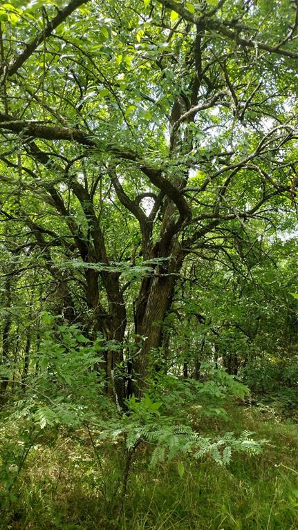 Vista Oaks Estates - Land