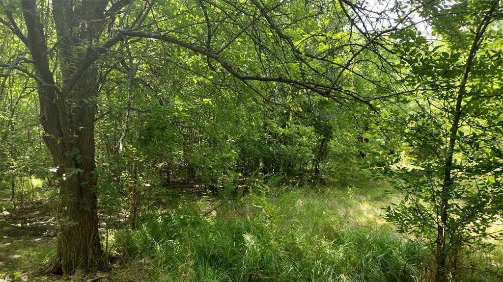 Vista Oaks Estates - Land