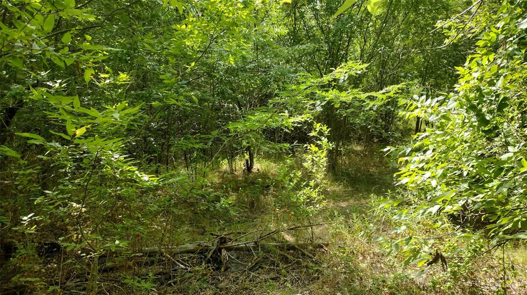 Vista Oaks Estates - Land