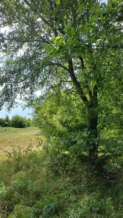 Vista Oaks Estates - Land