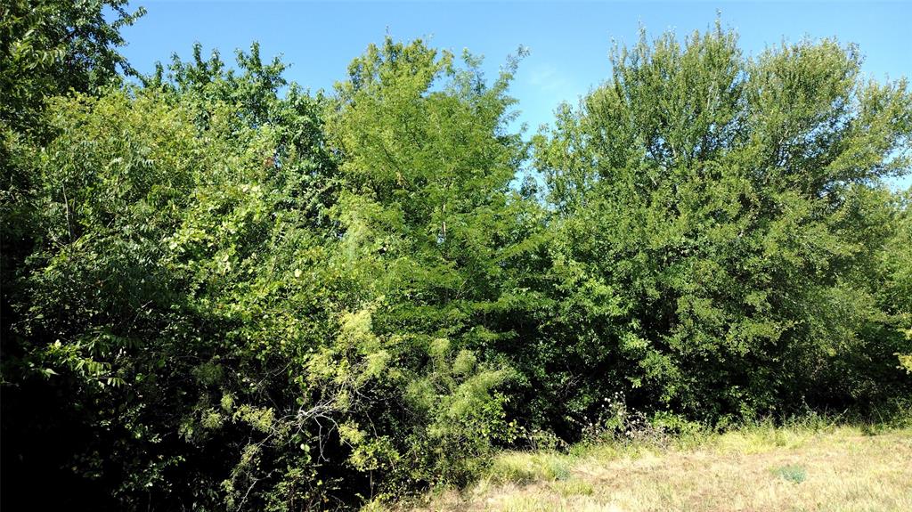 Vista Oaks Estates - Land