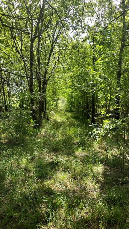 Vista Oaks Estates - Land