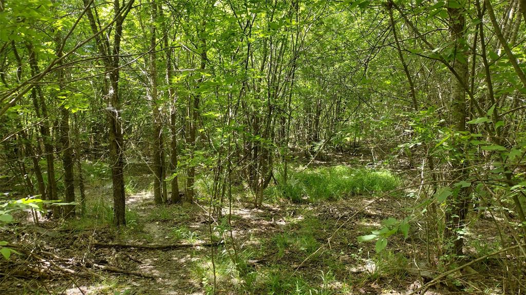 Vista Oaks Estates - Land