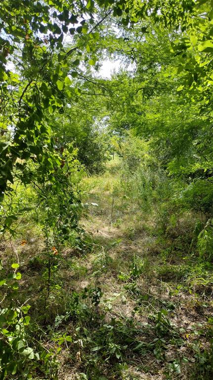 Vista Oaks Estates - Land