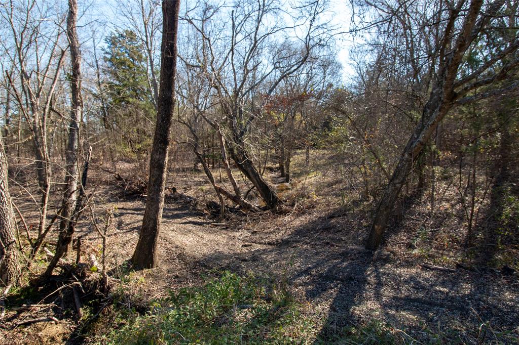 Lot 1 County Road 2905