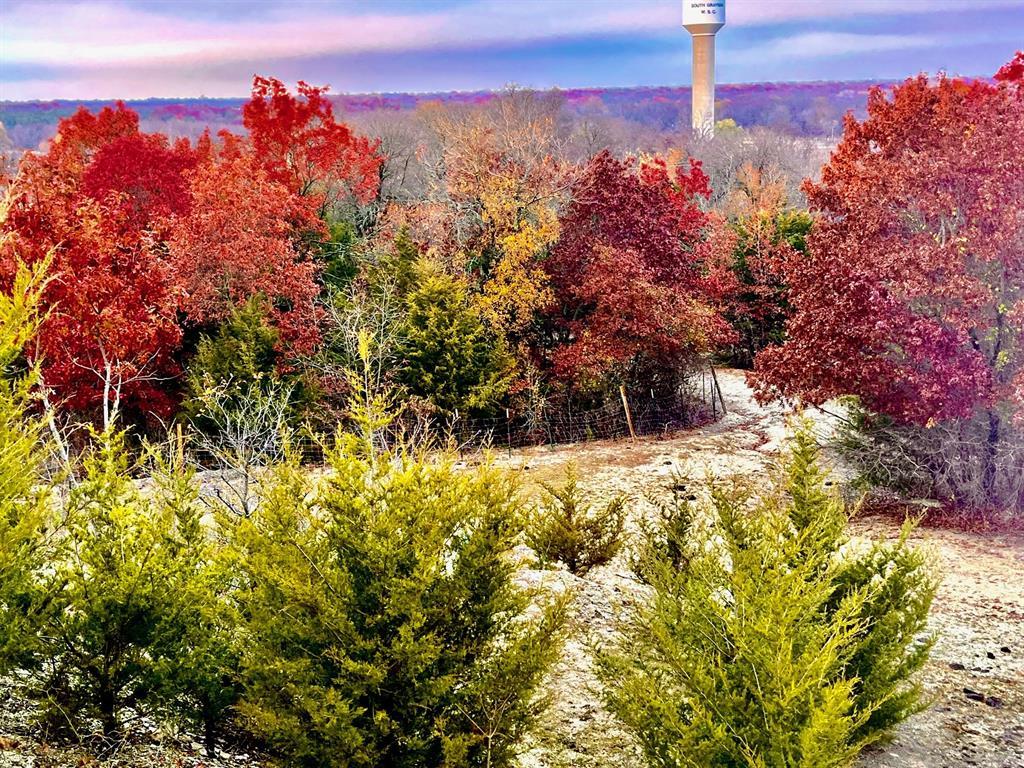 G-0207 CHAPMAN G W A-G0207 - Land