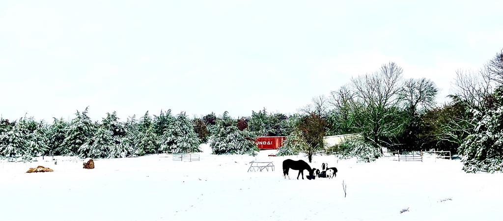 G-0207 CHAPMAN G W A-G0207 - Land