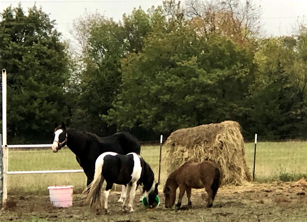 G-0207 CHAPMAN G W A-G0207 - Land