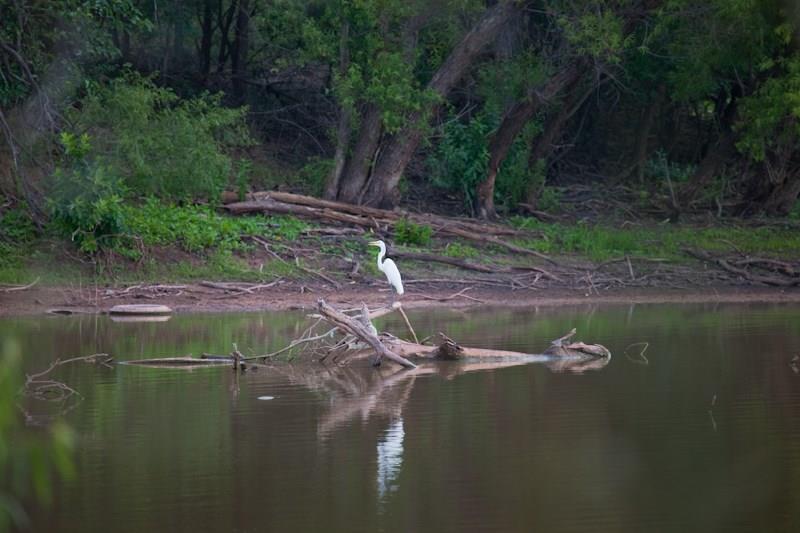 Big Sky Ranch - Commercial Sale