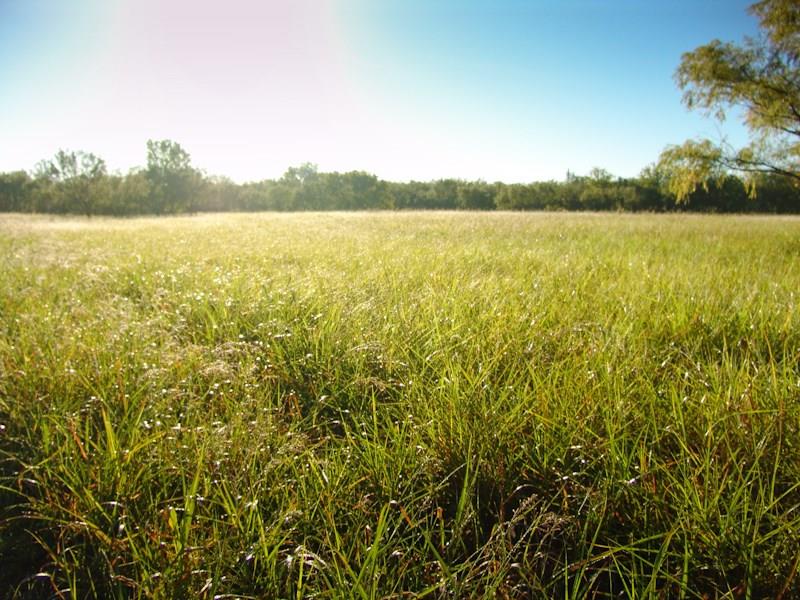 Big Sky Ranch - Commercial Sale