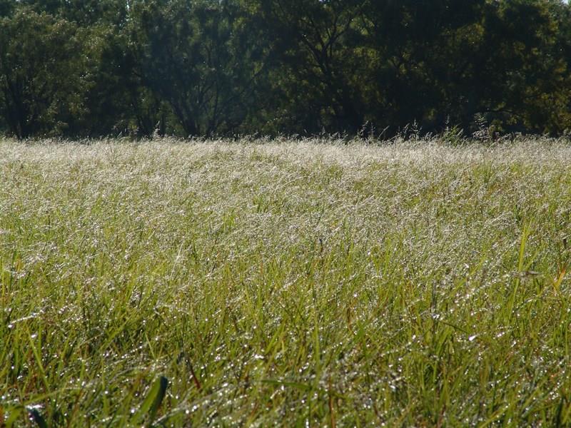 Big Sky Ranch - Commercial Sale