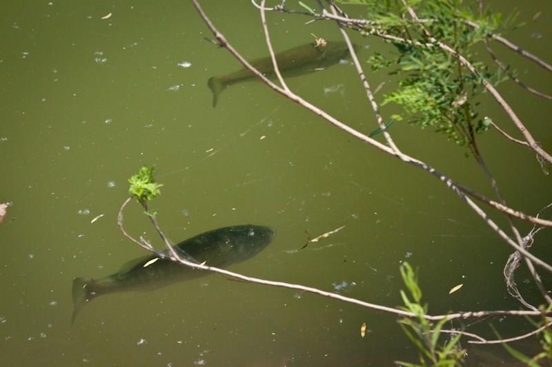 Big Sky Ranch - Commercial Sale