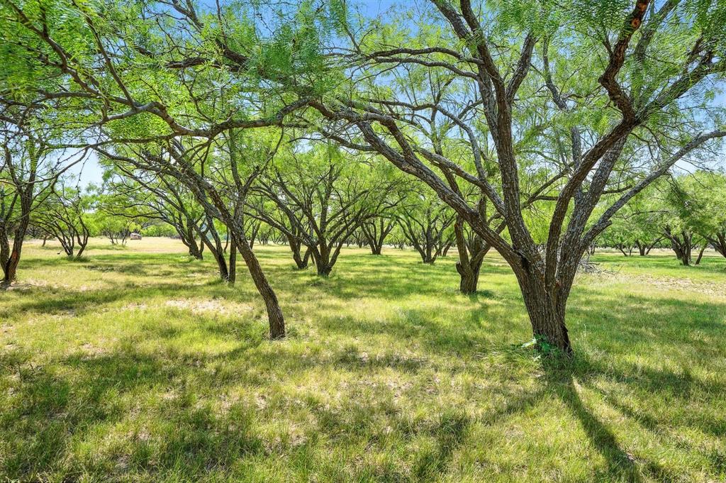 WhartonCnty Sch Land Sec 516 - Farm