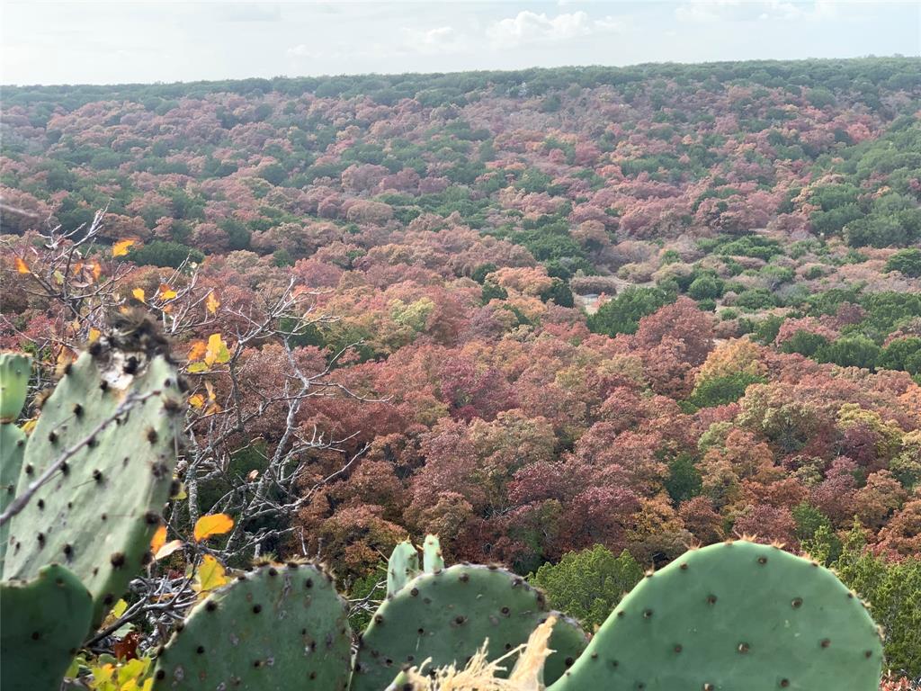 WhartonCnty Sch Land Sec 516 - Farm