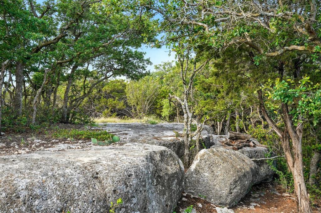 WhartonCnty Sch Land Sec 516 - Farm