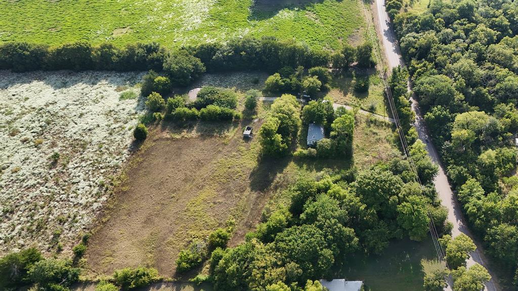 ABS A0559 GUINNESS MORRISON SURVEY - Land