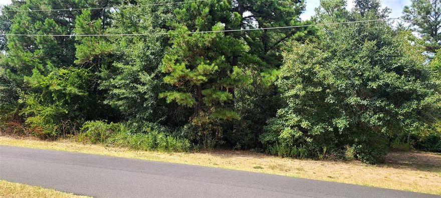 Dream lot in the highly sought-after neighborhood of Cumberland Ridge! Nestled within this picturesque lake community, this prime piece of real estate offers an incredible opportunity to build your perfect home.
Cumberland Ridge is a beautiful community located on the shores of Lake Palestine in the piney woods of East Texas. It is a naturally beautiful, serene escape located only 17 miles from Tyler, with easy interstate access for trips to the Dallas-Fort Worth metroplex. The subdivision includes a gated marina with boat launch, a large park with playground amenities, and two smaller neighborhood parks. Secure community storage is also available for boats, recreational vehicles, and more. Cumberland Ridge has over 250 residents, with room to grow. A variety of architectural styles create an attractive and diverse appearance. A relaxed vibe and easy-going friendliness characterize this community. cumberlandridge.net This is a great value in an established lovely community.