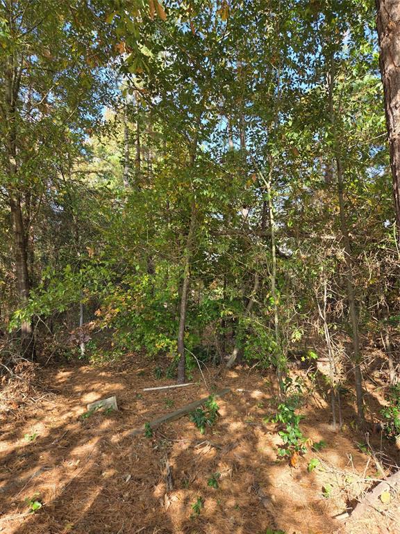 Cumberland Ridge - Land