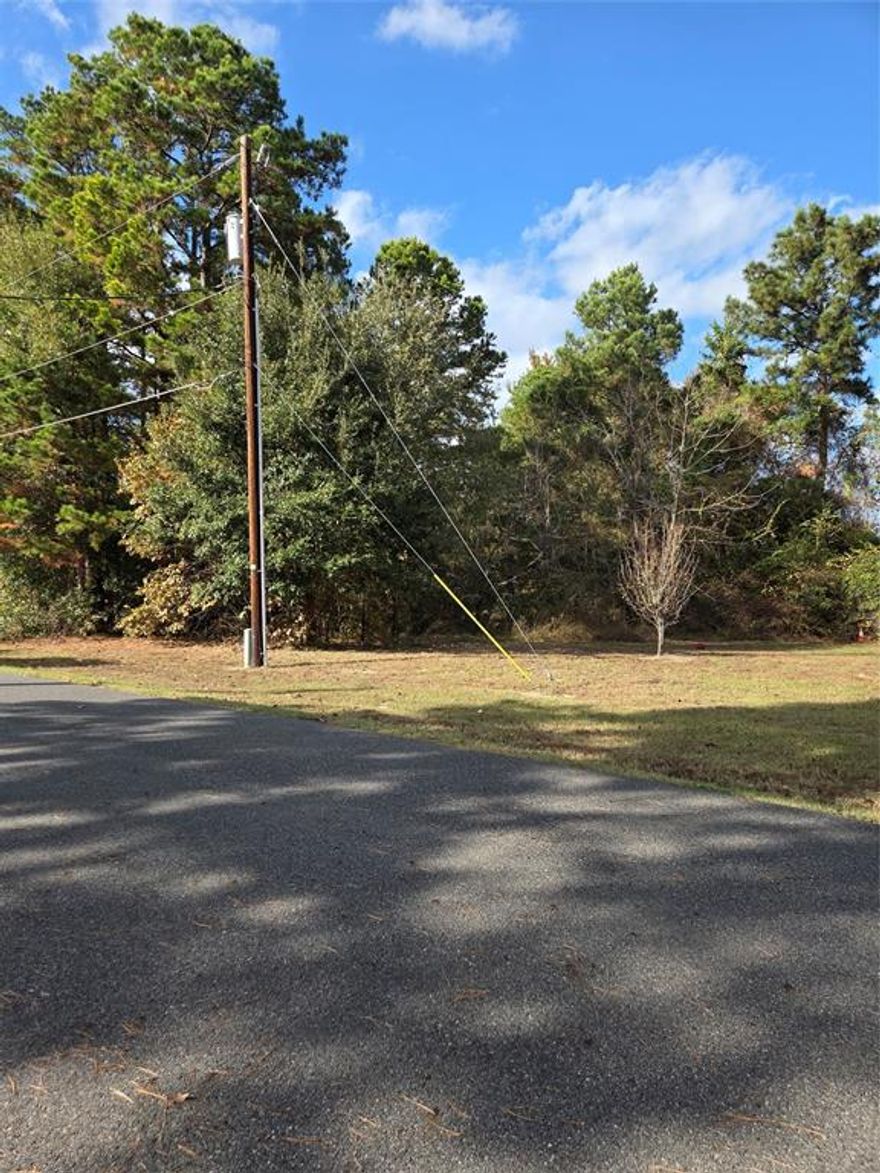 Dream lot in the highly sought-after neighborhood of Cumberland Ridge! Nestled within this picturesque lake community, this prime piece of real estate offers an incredible opportunity to build your perfect home.
Cumberland Ridge is a beautiful community located on the shores of Lake Palestine in the piney woods of East Texas. It is a naturally beautiful, serene escape located only 17 miles from Tyler, with easy interstate access for trips to the Dallas-Fort Worth metroplex. The subdivision includes a gated marina with boat launch, a large park with playground amenities, and two smaller neighborhood parks. Secure community storage is also available for boats, recreational vehicles, and more. Cumberland Ridge has over 250 residents, with room to grow. A variety of architectural styles create an attractive and diverse appearance. A relaxed vibe and easy-going friendliness characterize this community. cumberlandridge.net This is a great value in an established lovely community.
