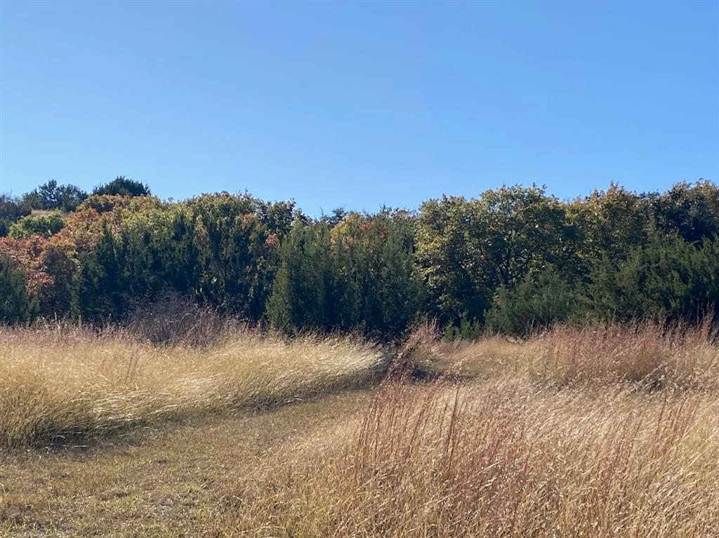 Cee-Bar Ranch 16 - Farm