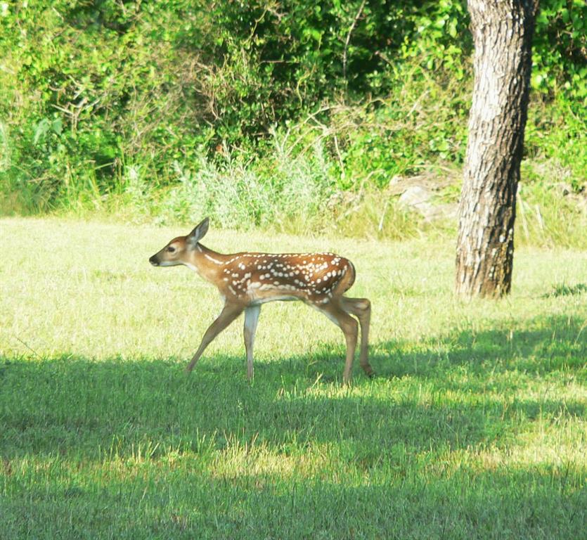 Cee-Bar Ranch 16 - Farm