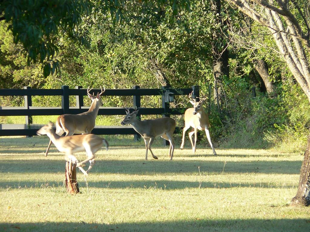 Cee-Bar Ranch 16 - Farm