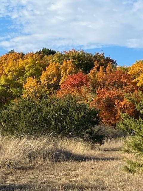 Cee-Bar Ranch 16 - Farm